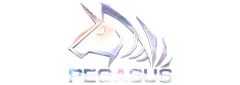 g2g99th-PEGASUS